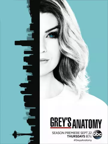 Grey's Anatomy - Saison 13