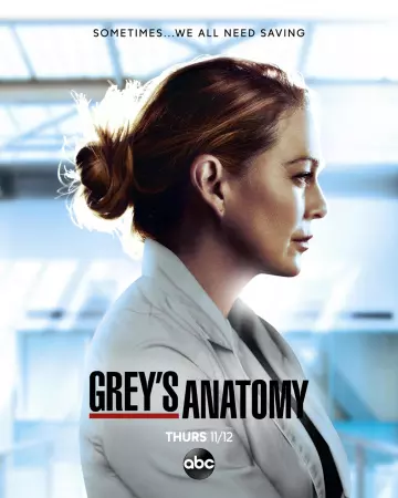 Grey's Anatomy - Saison 17