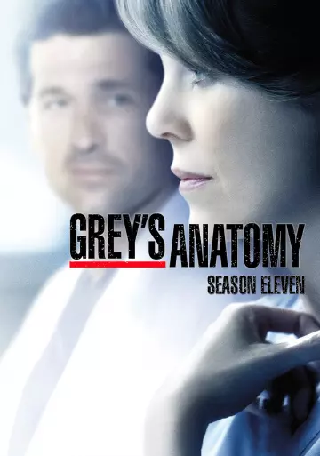Grey's Anatomy - Saison 11