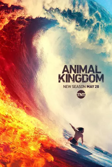 Animal Kingdom - Saison 4